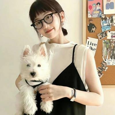 复仇 (2008年电影)